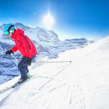A&y Zum Goldenen Hirsch By Interhome Davos