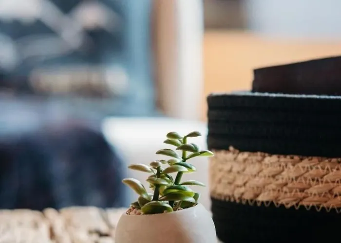 A&y Zum Goldenen Hirsch By Interhome Ferienhaus