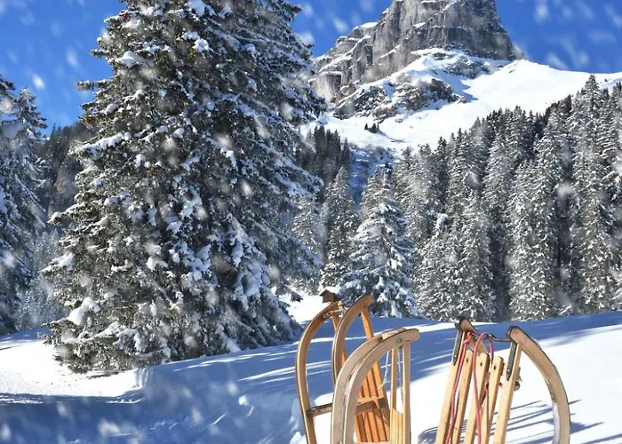 A&y Zum Goldenen Hirsch By Interhome *